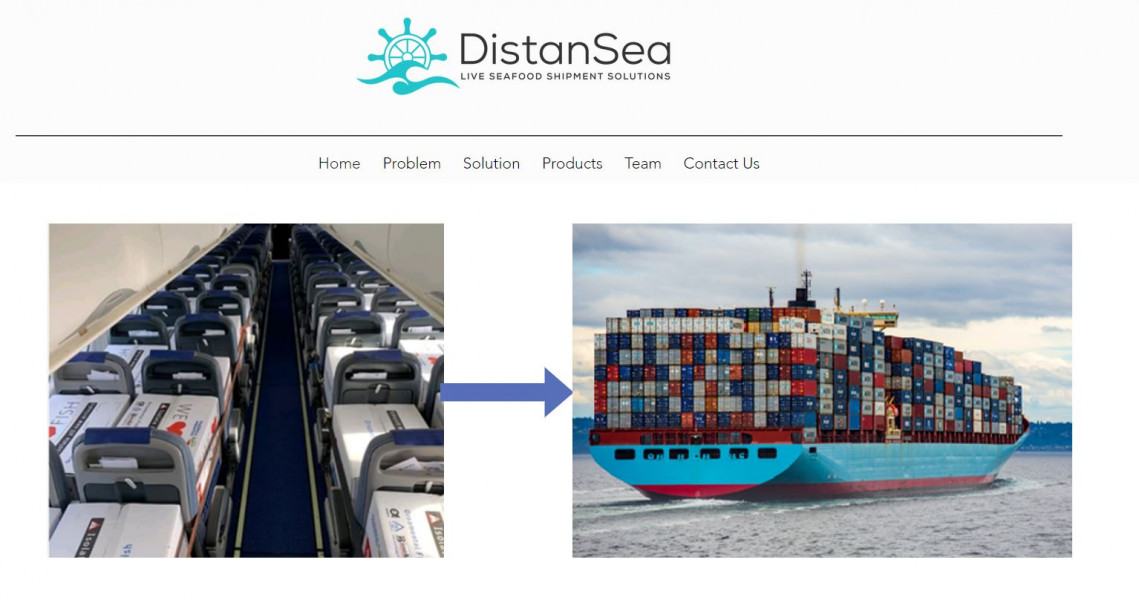 The Israel startup DistanSea is looking for Dutch companies to co-develop and manufacture innovative seawater treatment systems for seafood transportation